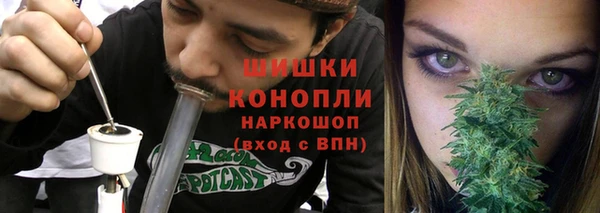 крисы Сатка