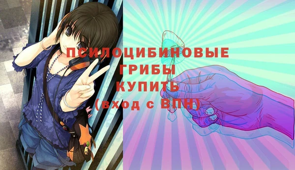 трава Саяногорск