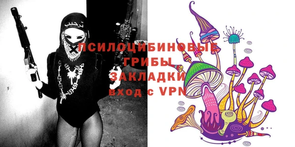 трава Саяногорск