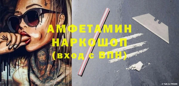 крисы Сатка