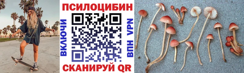 Купить где  Углич  Галлюциногенные грибы GOLDEN TEACHER 